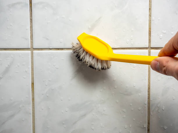 Best Post-Flood Mold Remediation in Assumption, IL